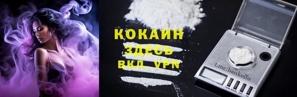 крисы Бронницы