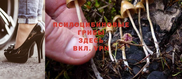 крисы Верхнеуральск