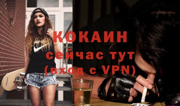 крисы Бронницы
